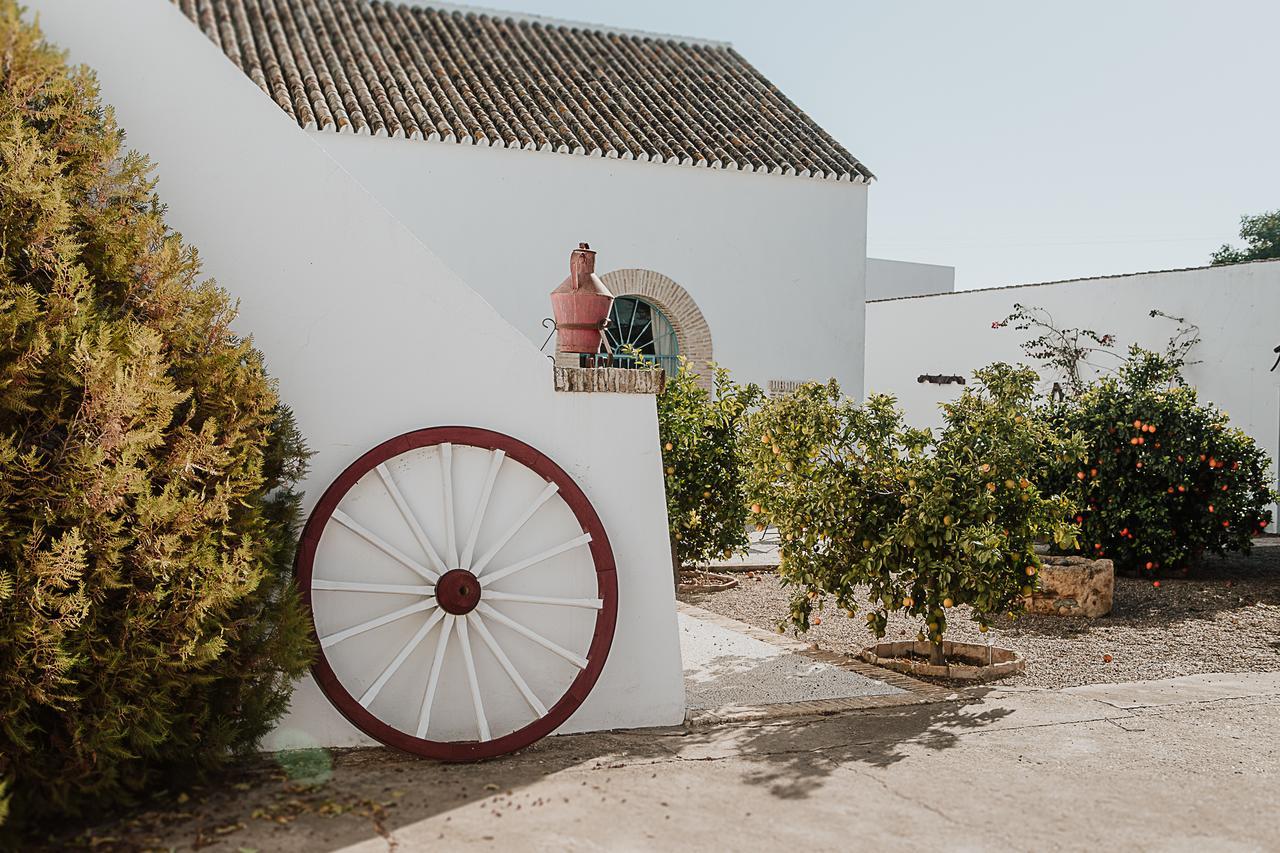 Cortijo Santa Clara Villa Carmona Kültér fotó