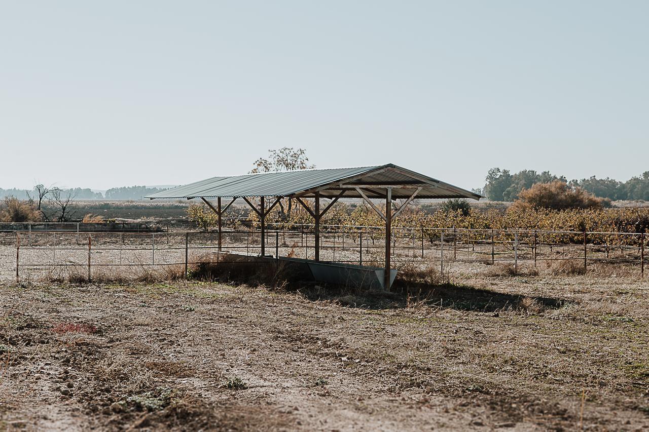 Cortijo Santa Clara Villa Carmona Kültér fotó