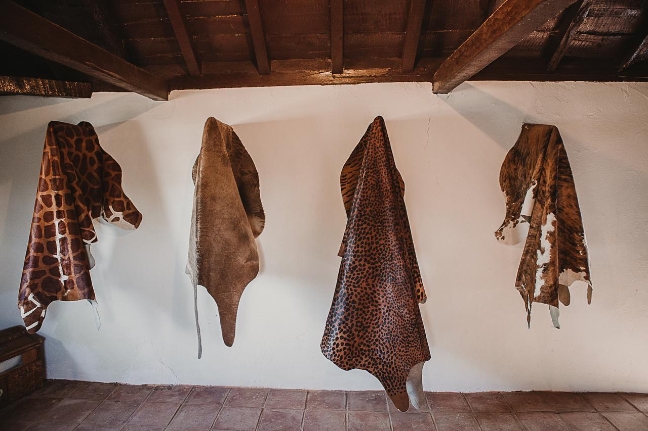 Cortijo Santa Clara Villa Carmona Kültér fotó